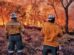 incendio forestal