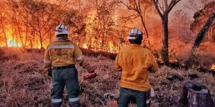 incendio forestal