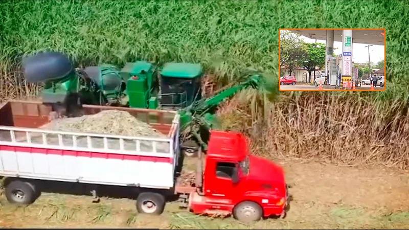 Un vehículo en una cosecha
