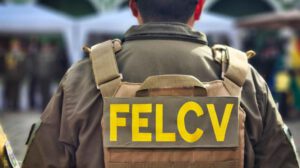 personal de la Felcv