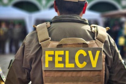 personal de la Felcv
