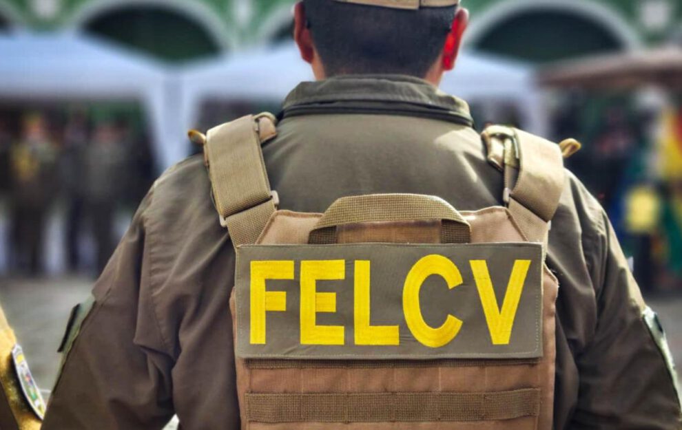 personal de la Felcv