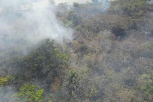 incendio forestal