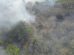 incendio forestal