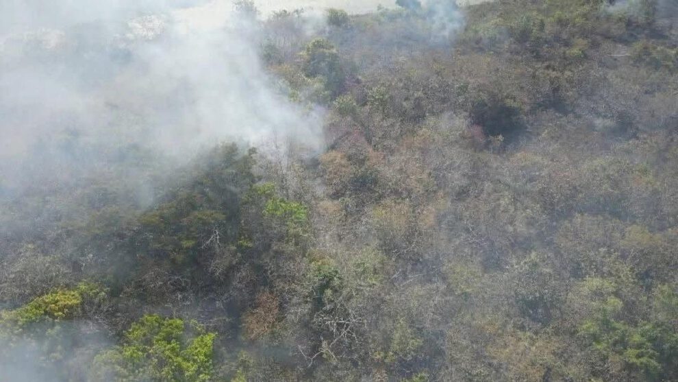 incendio forestal