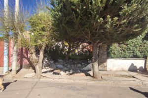 Imagen del muro