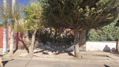 Imagen del muro