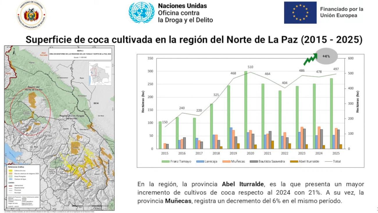 Mapa y gráfico de la Unodc sobre la coca en el Norte de La Paz. Muestra un aumento de cultivos del 4% entre 2024 y 2025, alcanzando 497 hectáreas