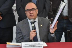 El presidente del Tribunal Supremo Electoral Gustavo Ávila
