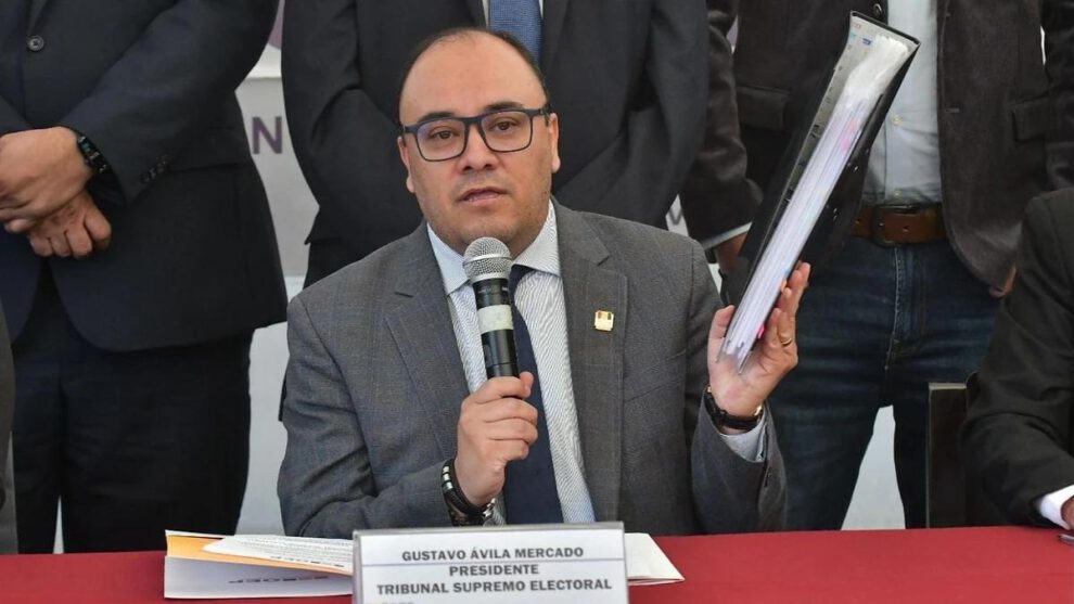 El presidente del Tribunal Supremo Electoral Gustavo Ávila
