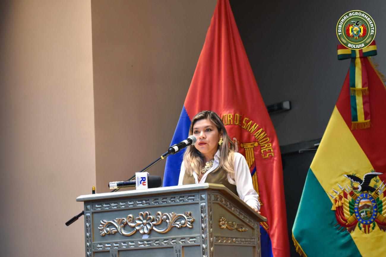 La presidenta del Tribunal Agroambiental, Roxana Chávez