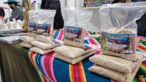 producción de quinua Oruro
