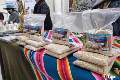 producción de quinua Oruro