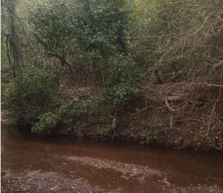Río, a la altura de la comunidad de Buena Vista (TCO Turubó Este)