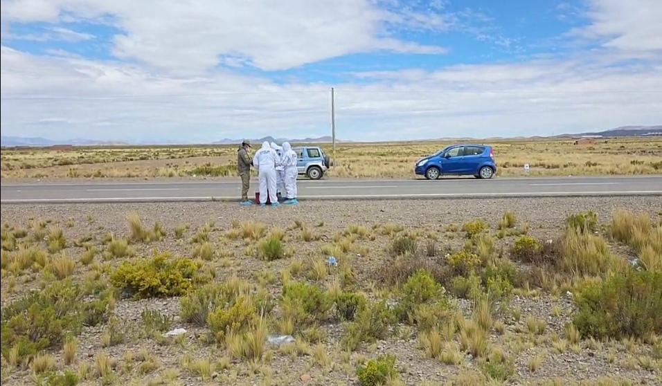 Imagen de la investigación