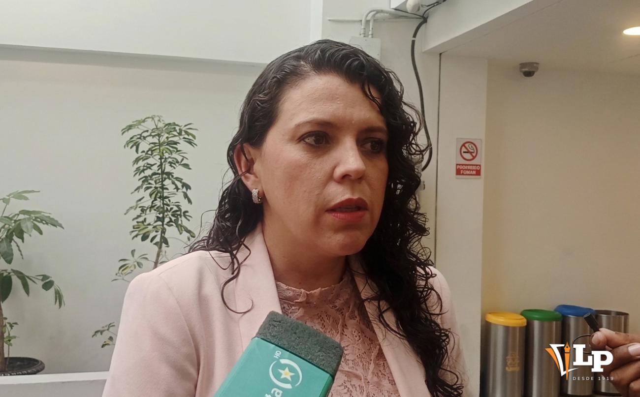 La diputada Cabrera en conferencia de prensa