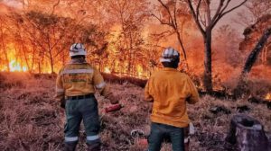 incendios