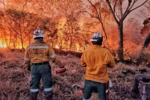 incendios