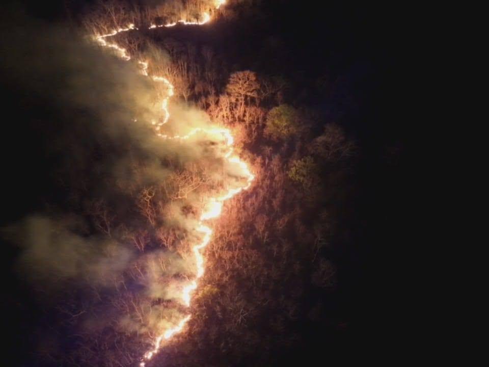 incedio forestal en santa cruz