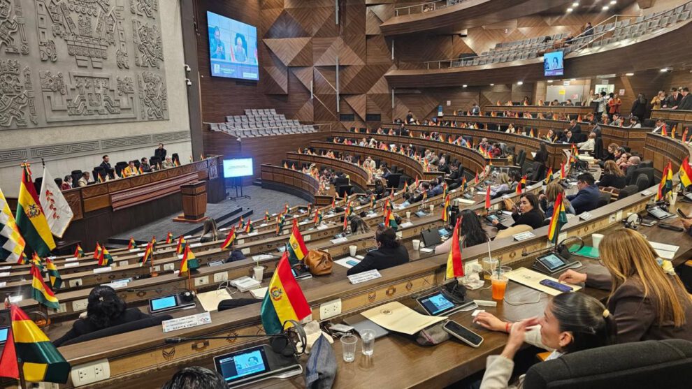 Pleno de la Asamblea Legislativa Plurinacional