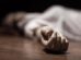 Ocultaron su cuerpo durante dos meses