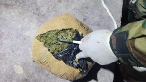 marihuana