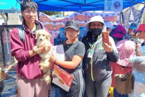 Adopción