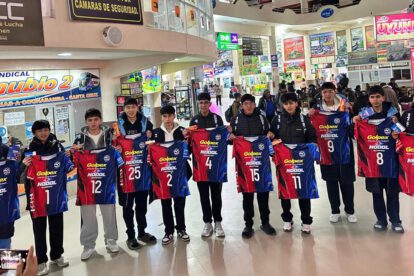 Torneo Nacional de Voleibol, Categoría Menores Varones