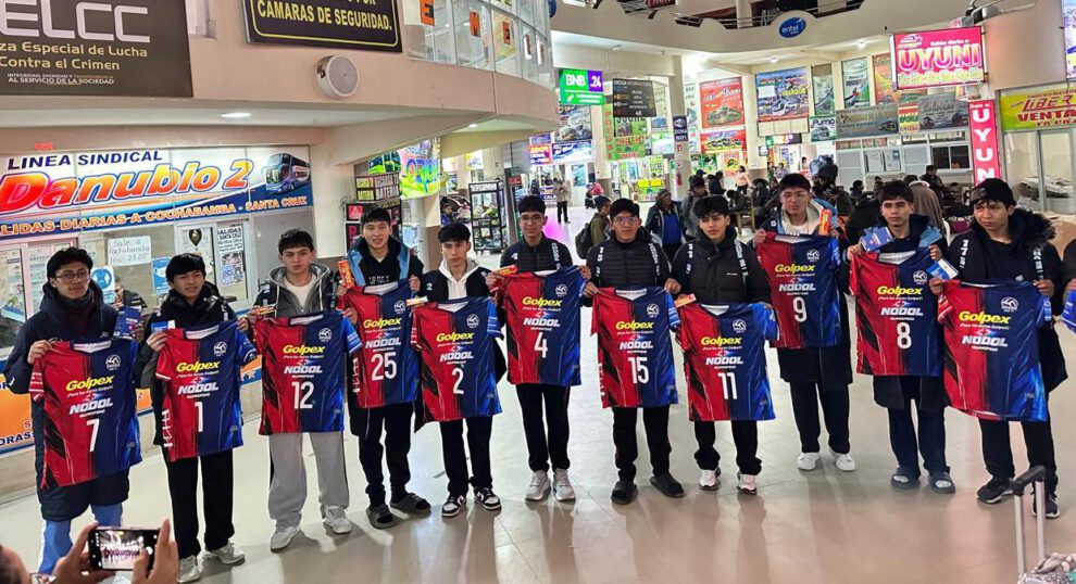 Torneo Nacional de Voleibol, Categoría Menores Varones