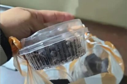 brownies
