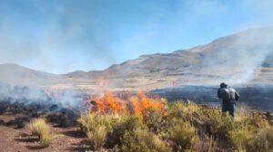 Imagen del incendio