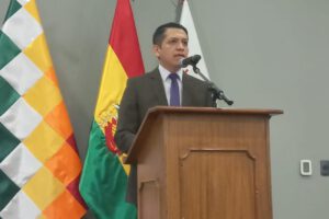 Viceministro García