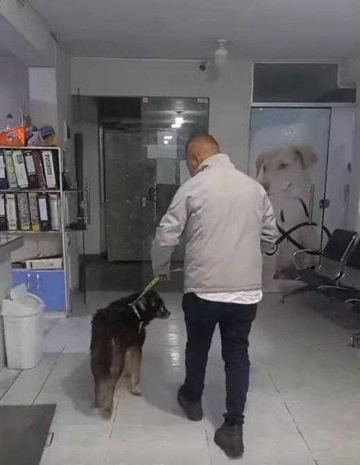 Bicho, sobreviviente de las explosiones en Viacha