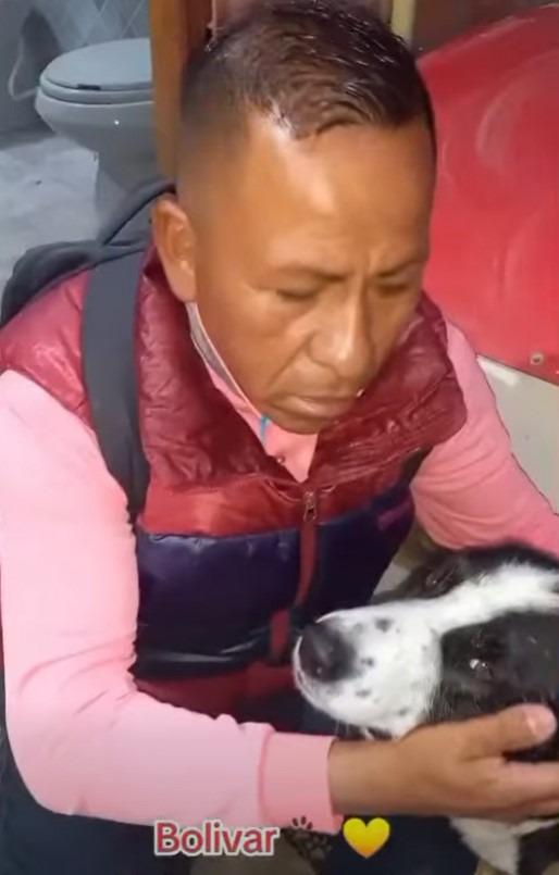 Roberto Ramos y Bolívar, el perro diagnosticado con cáncer