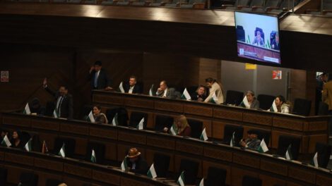 El pleno de la Asamblea Legislativa Plurinacional