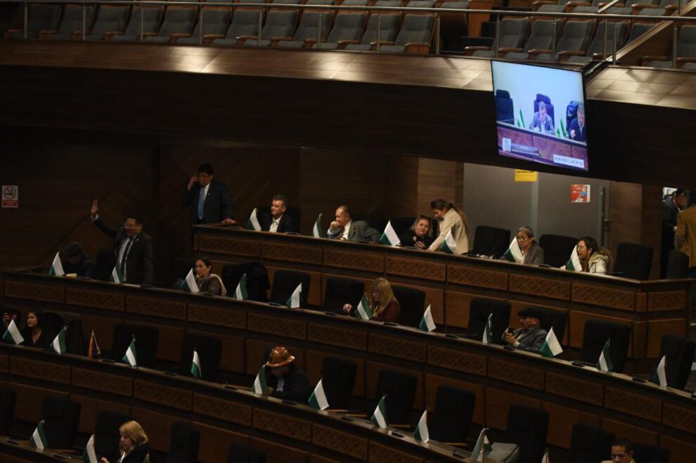 El pleno de la Asamblea Legislativa Plurinacional