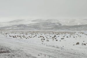 Cierran la Reserva Eduardo Avaroa por nevadas