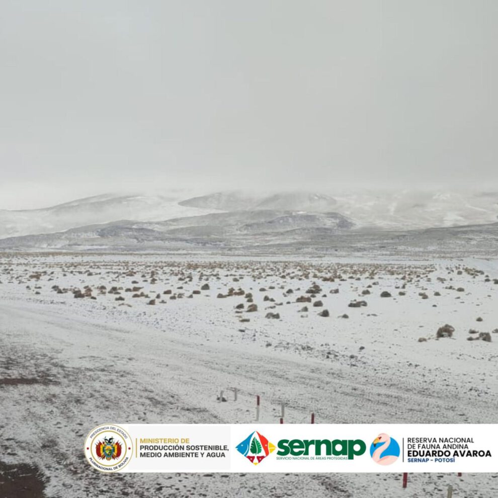 Cierran la Reserva Eduardo Avaroa por nevadas