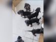 Cachorros Dachshund