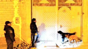Un operativo de la Jefatura de Zoonosis