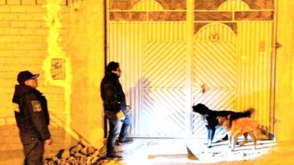 Un operativo de la Jefatura de Zoonosis