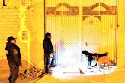 Un operativo de la Jefatura de Zoonosis