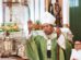 Monseñor René Leigue