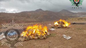 Incineración de droga