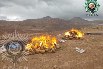 Incineración de droga