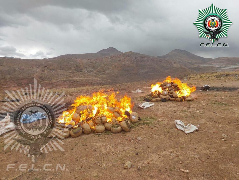 Incineración de droga