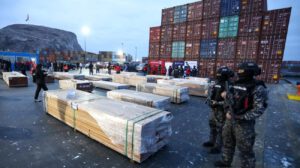 Parte de la madera incautada presentada por autoridades chilenas