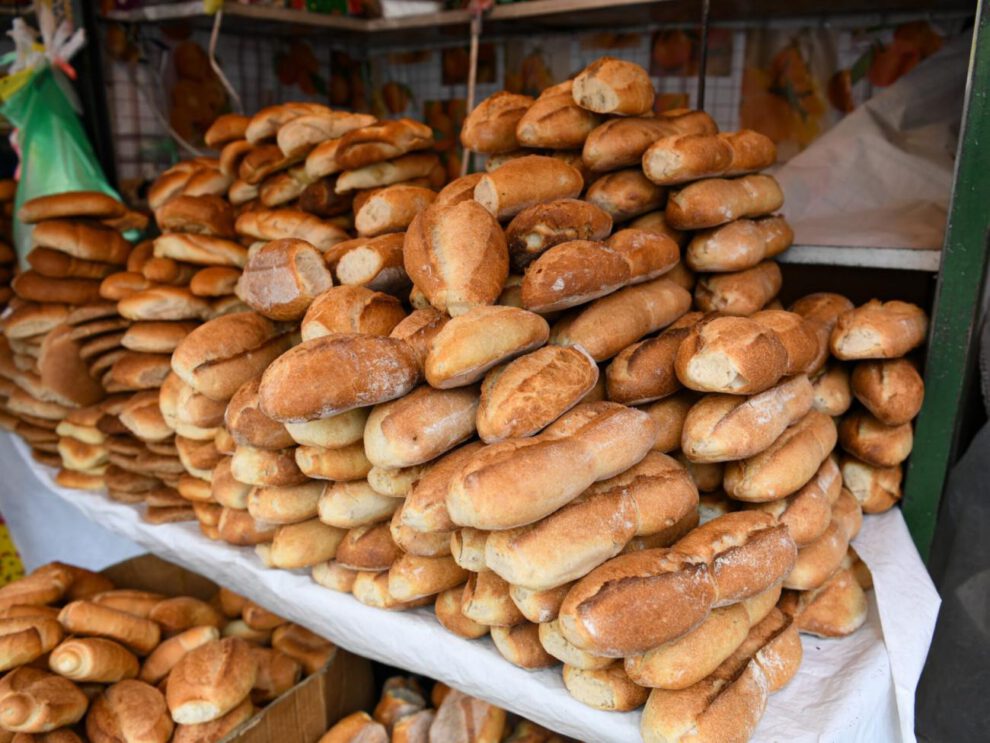 El pan de batalla o marraqueta.