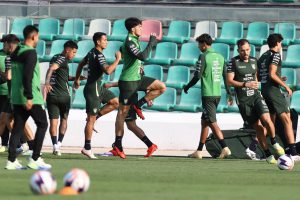 Selección Boliviana, Fecha FIFA, Partidos amistosos