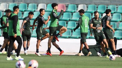 Selección Boliviana, Fecha FIFA, Partidos amistosos